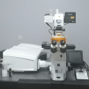 高分辨率活细胞共聚焦显微镜LSM980-ZEISS